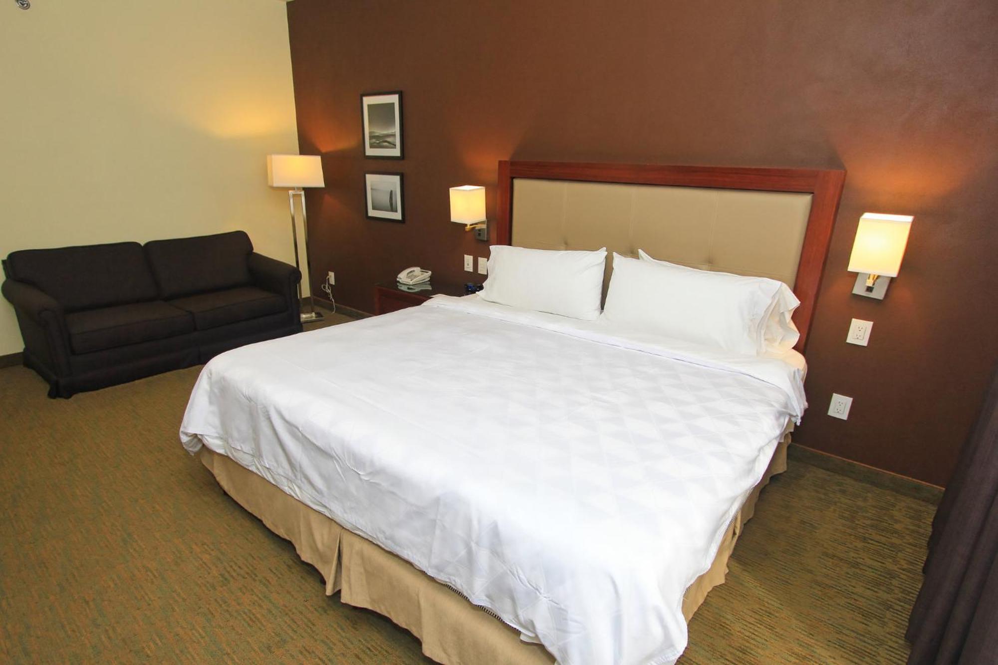 Holiday Inn Leon By Ihg Dış mekan fotoğraf